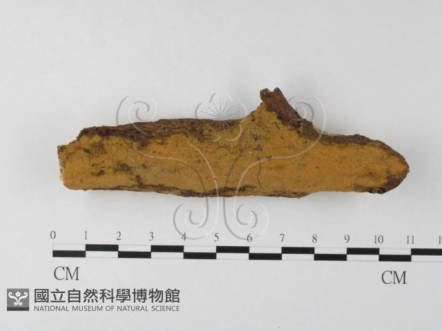 登錄號:F0021009藏品圖，第1張
