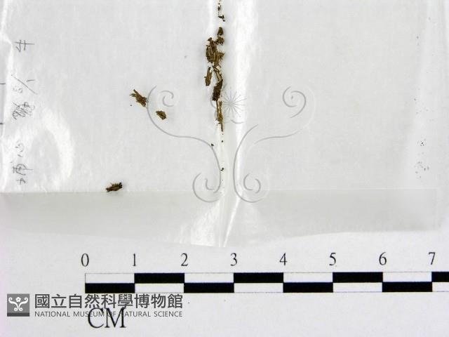 登錄號:F0001009藏品圖，第1張