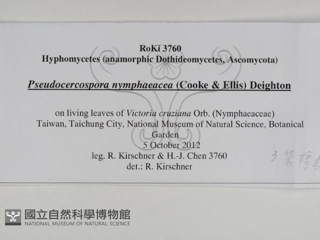 登錄號:F0031009藏品圖，第3張