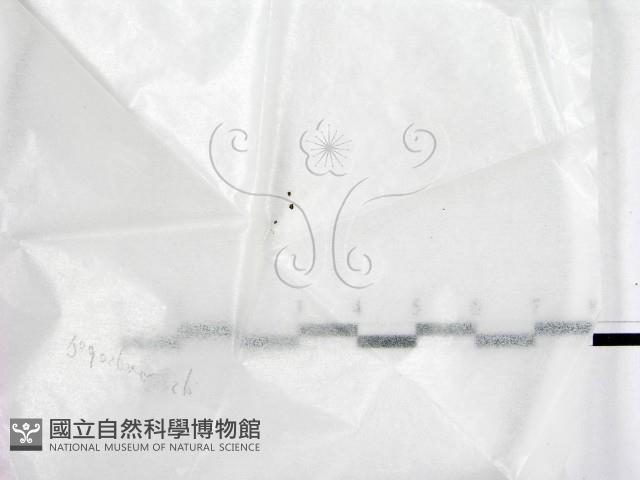 登錄號:F0022009藏品圖，第1張