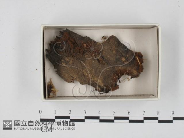 登錄號:F0018309藏品圖，第1張