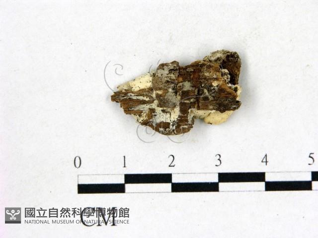登錄號:F0017309藏品圖，第1張