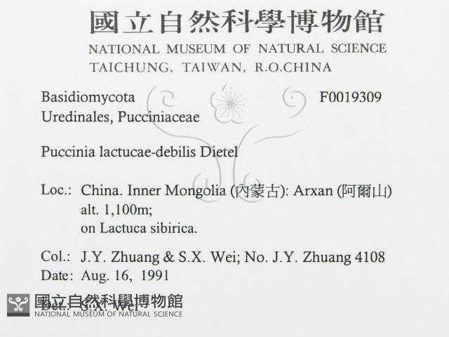 登錄號:F0019309藏品圖，第3張