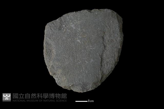 磨製斧鋤形器藏品圖，第1張