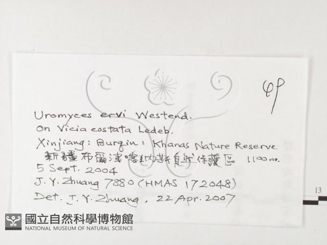 登錄號:F0026219藏品圖，第3張