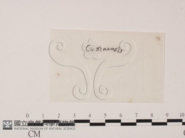 登錄號:F0009819藏品圖，第1張