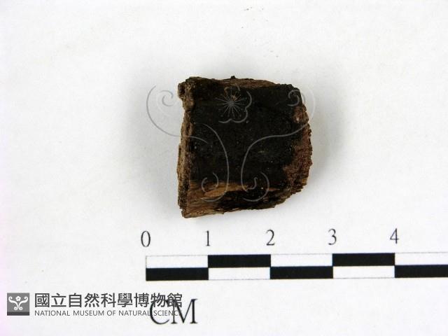 登錄號:F0019619藏品圖，第1張
