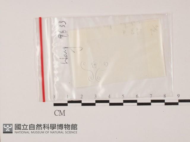 登錄號:F0004719藏品圖，第1張