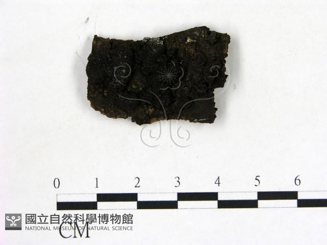 登錄號:F0007719藏品圖，第1張