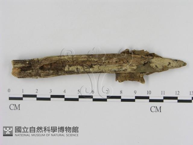 登錄號:F0000519藏品圖，第1張