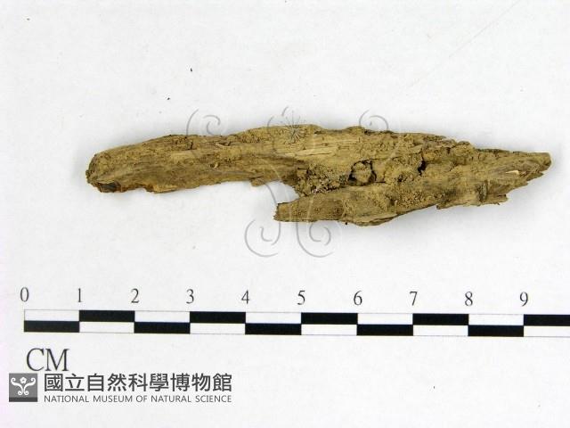 登錄號:F0002119藏品圖，第1張