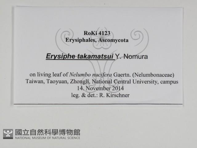 登錄號:F0031019藏品圖，第3張