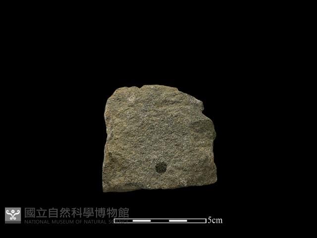 斧鋤形器藏品圖，第1張