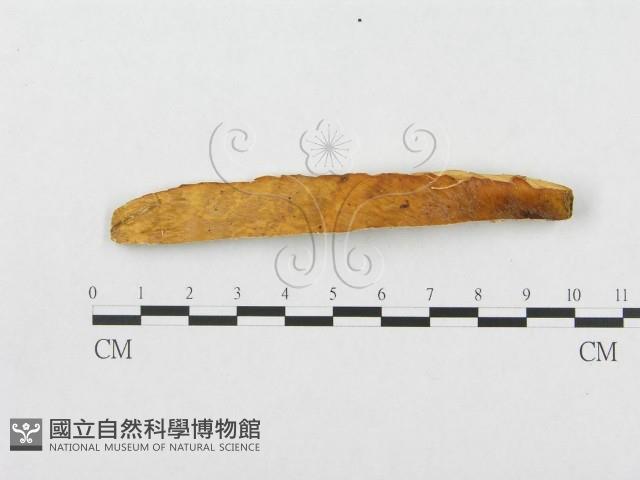 登錄號:F0007019藏品圖，第1張