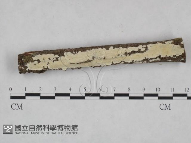 登錄號:F0025019藏品圖，第1張
