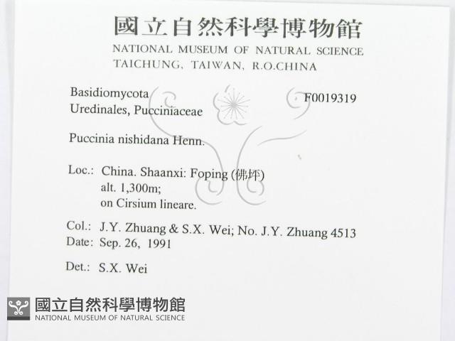 登錄號:F0019319藏品圖，第3張