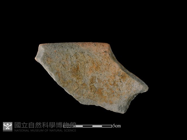 陶罐藏品圖，第2張