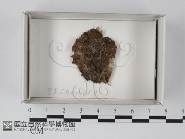登錄號:F0018149藏品圖，第1張