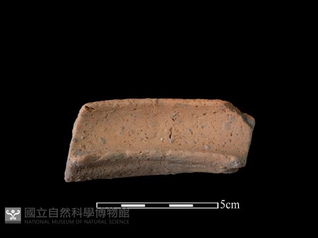 陶罐藏品圖，第2張