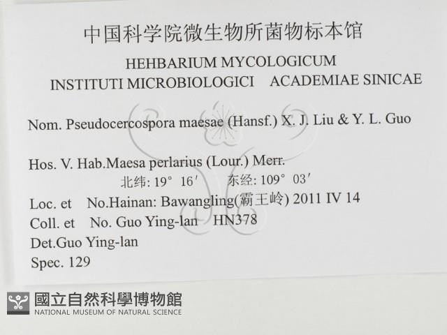 登錄號:F0026299藏品圖，第3張