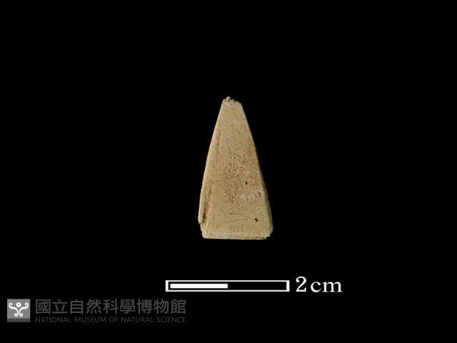 矛鏃形器藏品圖，第1張