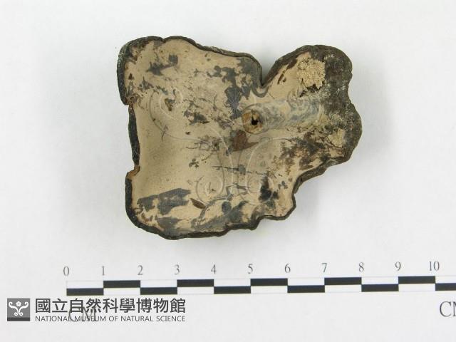 登錄號:F0002299藏品圖，第1張