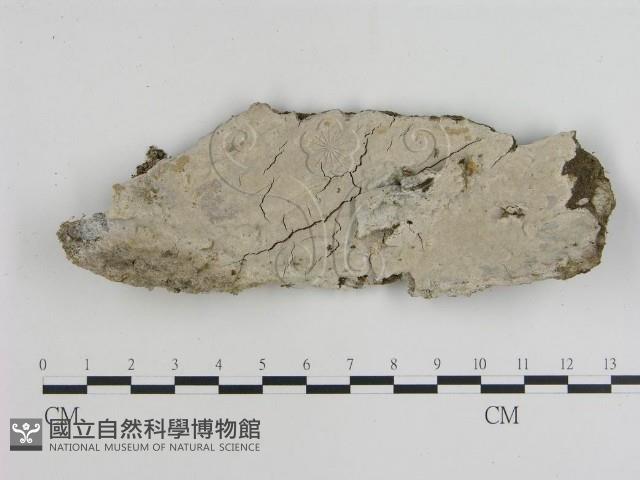 登錄號:F0008899藏品圖，第1張