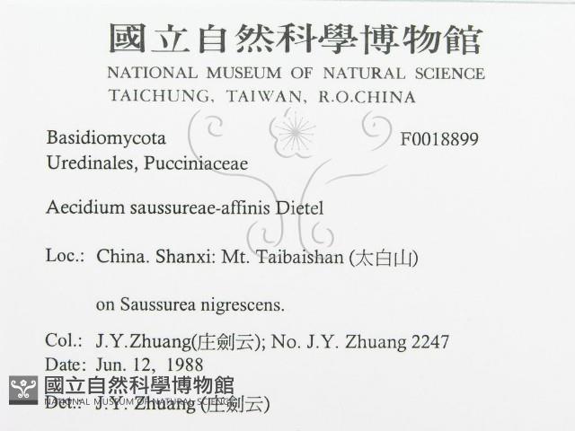 登錄號:F0018899藏品圖，第3張