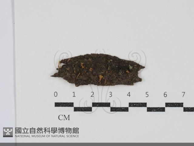 登錄號:F0034899藏品圖，第1張