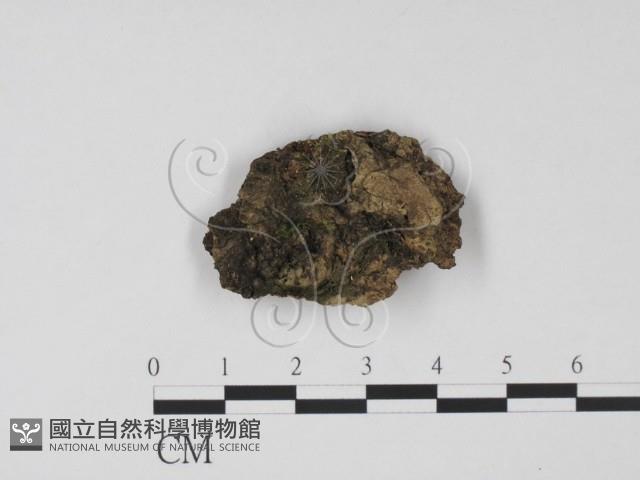 登錄號:F0007699藏品圖，第1張