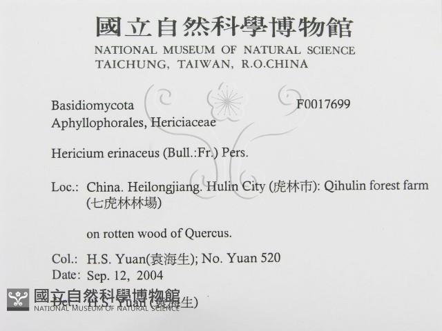 登錄號:F0017699藏品圖，第3張
