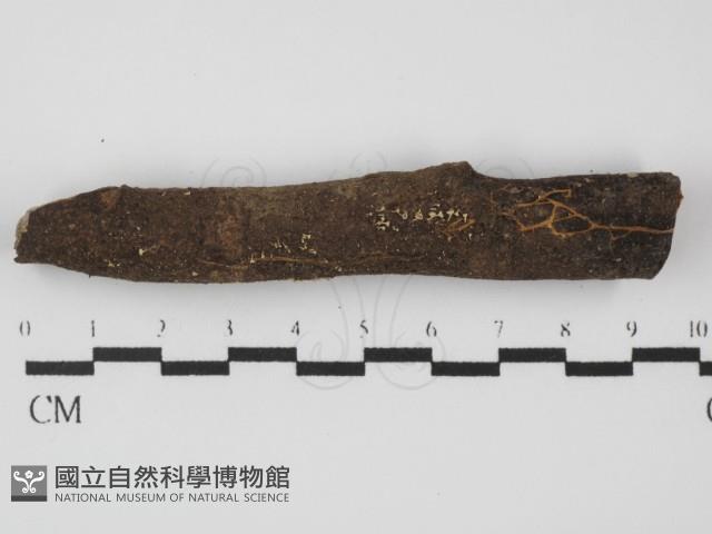 登錄號:F0005699藏品圖，第1張
