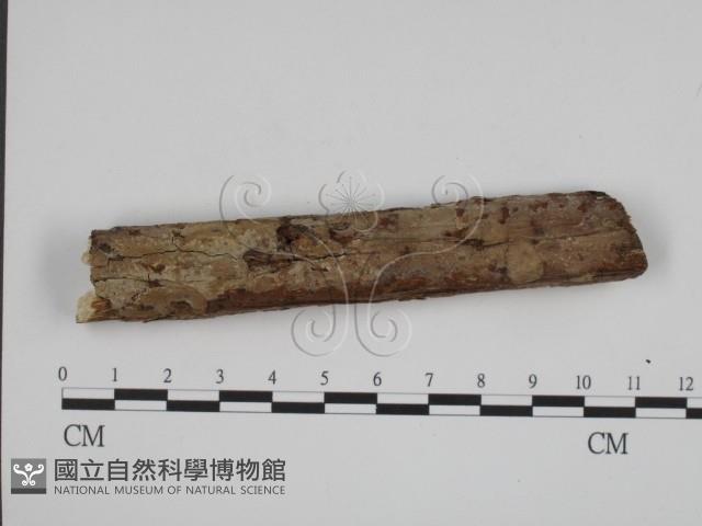 登錄號:F0008799藏品圖，第1張