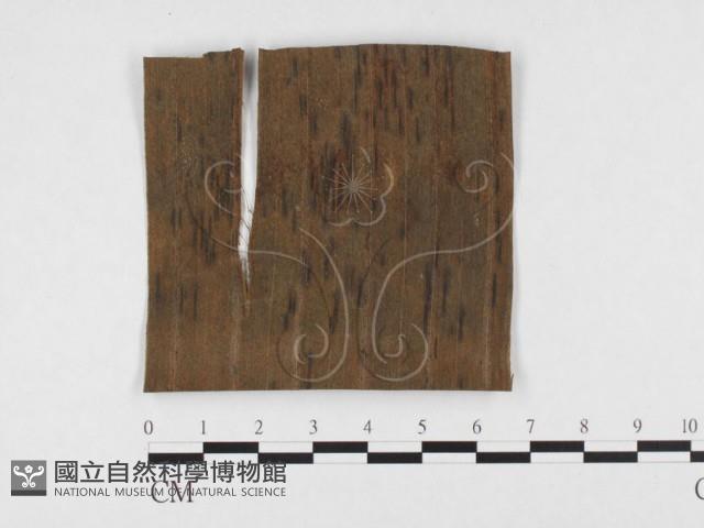 登錄號:F0026799藏品圖，第1張