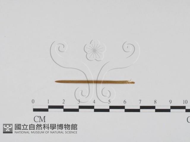 登錄號:F0011799藏品圖，第1張