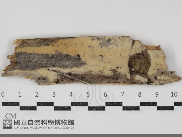 登錄號:F0034799藏品圖，第1張