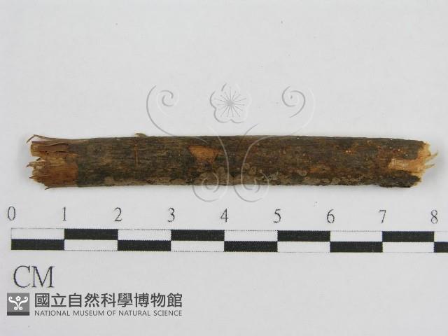 登錄號:F0017799藏品圖，第1張