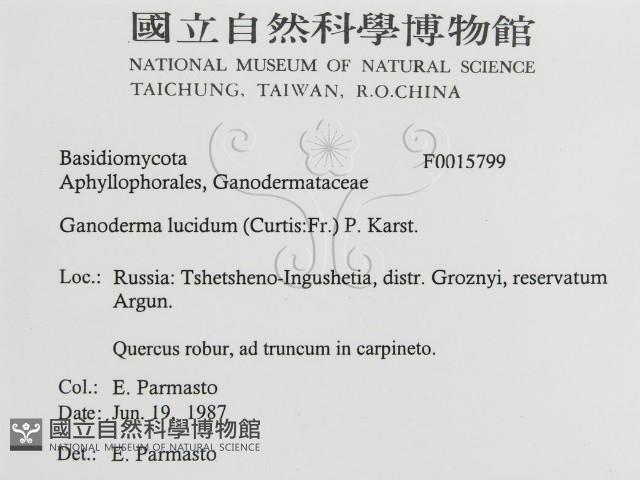 登錄號:F0015799藏品圖，第3張