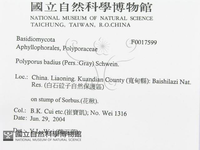 登錄號:F0017599藏品圖，第3張