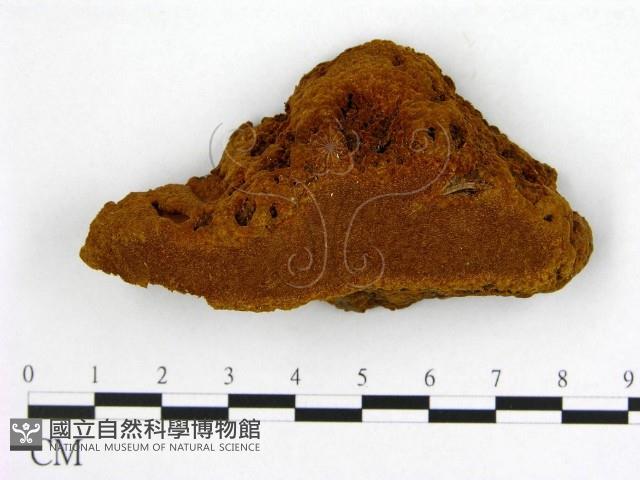 登錄號:F0006199藏品圖，第1張