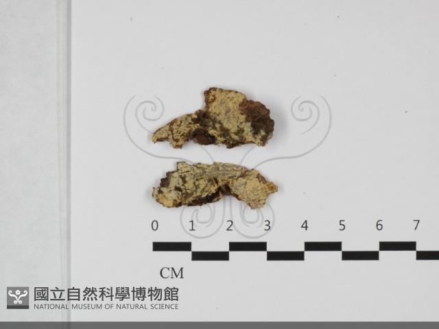登錄號:F0032199藏品圖，第1張