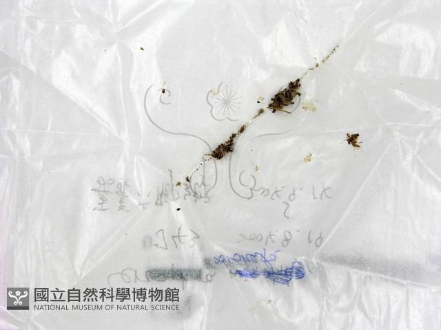 登錄號:F0017199藏品圖，第1張