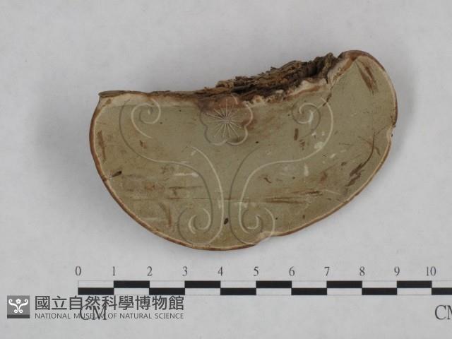 登錄號:F0025199藏品圖，第1張
