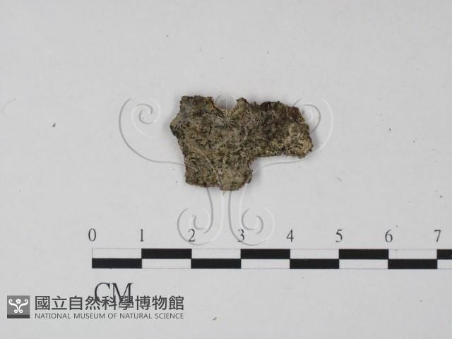 登錄號:F0015199藏品圖，第1張