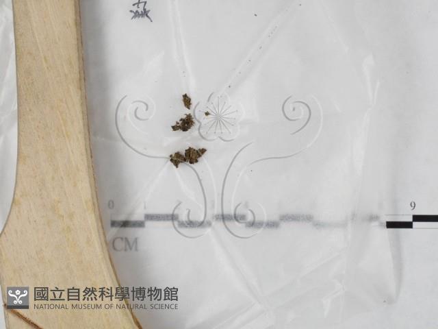 登錄號:F0023199藏品圖，第1張