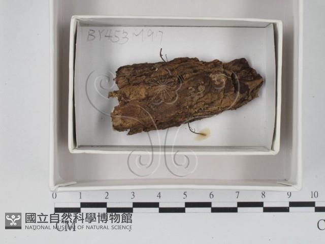 登錄號:F0018099藏品圖，第1張