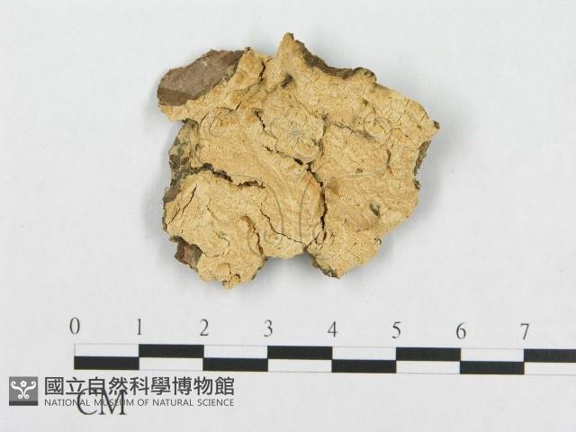 登錄號:F0014099藏品圖，第1張