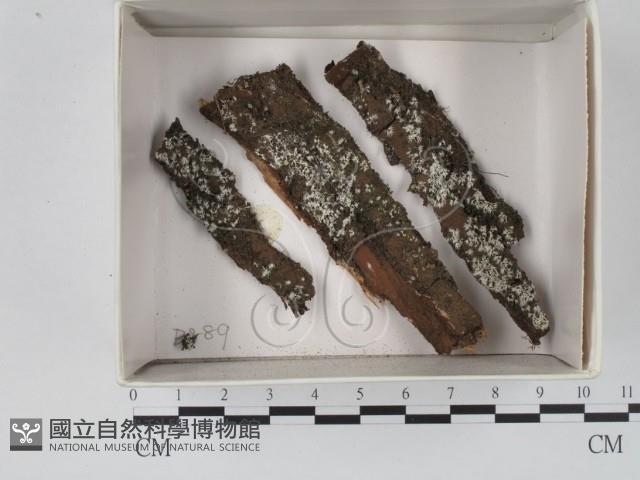 登錄號:F0018399藏品圖，第1張