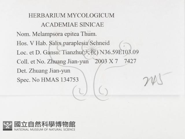 登錄號:F0026399藏品圖，第3張