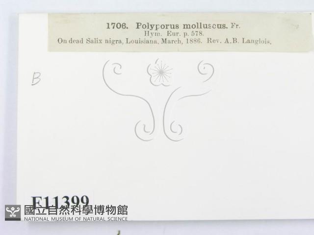 登錄號:F0011399藏品圖，第3張